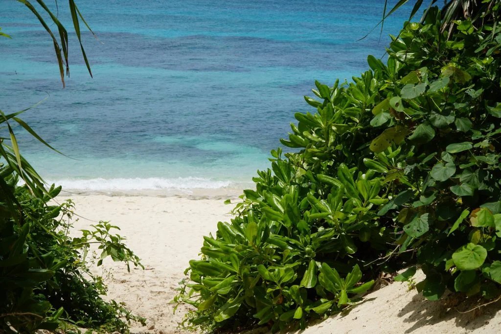 🏖️ 나가마하마 해변 (나가마하마 비치 코스트) 이미지 3